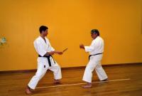 demonstration de self-defense ( karate jutsu )  : maitrise d'une attaque par couteau